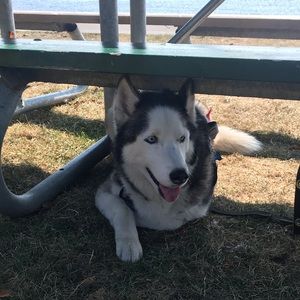 Meet your Posher, Tara